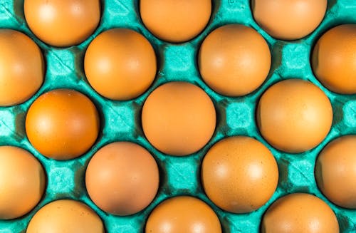 Close-up of Eggs in a Box 