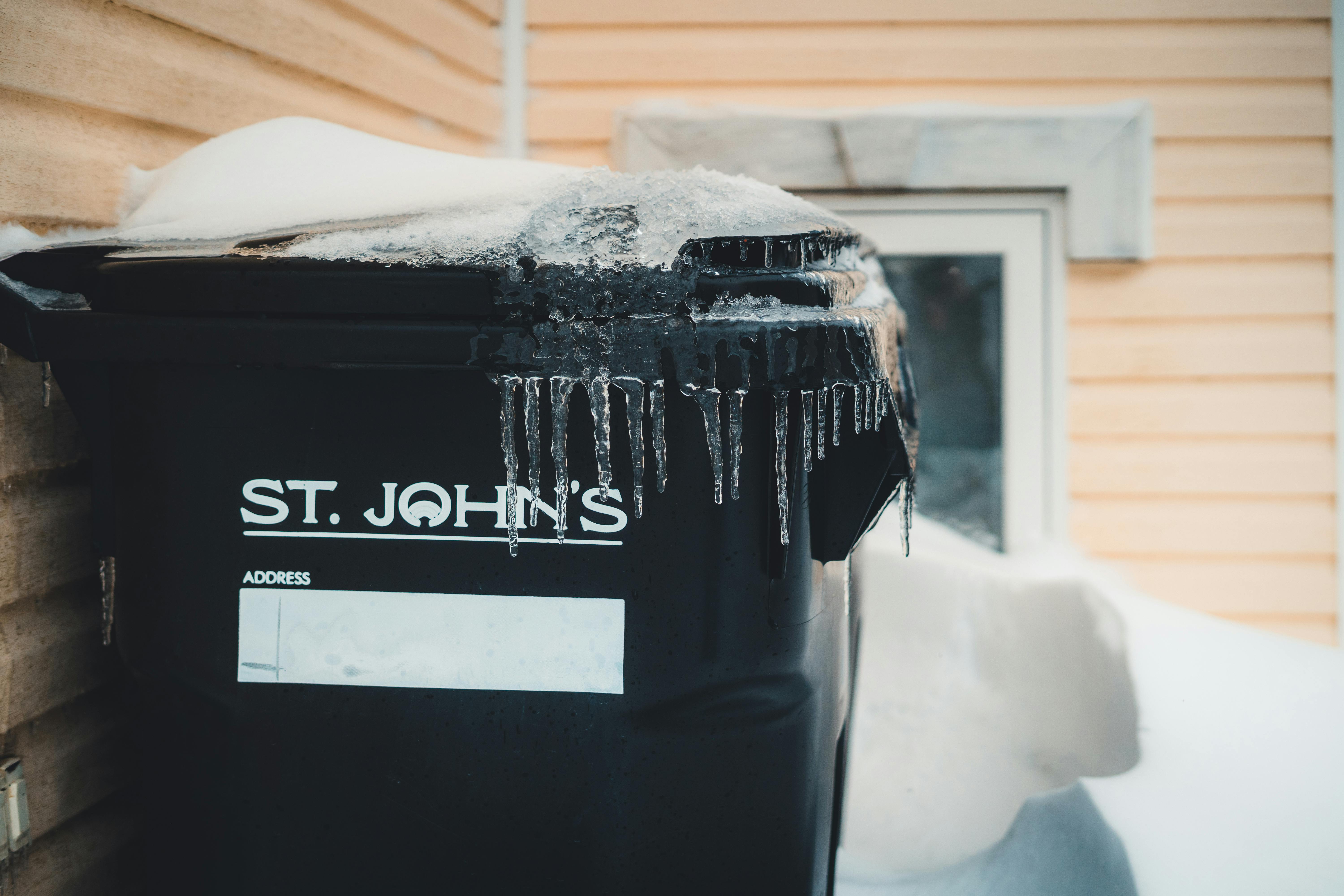 Challenges of Winter Composting with Worms