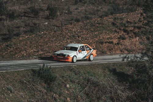 Foto d'estoc gratuïta de arbre, asfalt, carretera