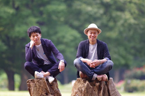 Smiling Men Sitting on Tree Stumps