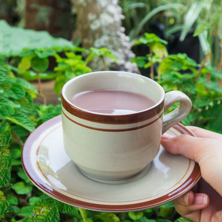 Cup With Hot Chocolate