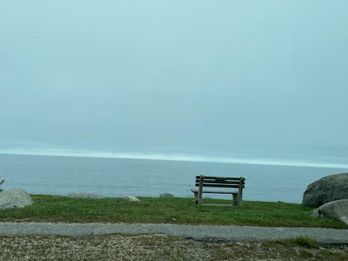 孤獨, 意見, 海洋 的 免费素材图片