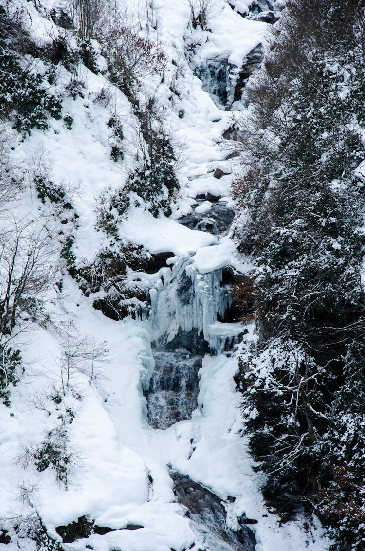 Frozen Mountain Stream In Winter