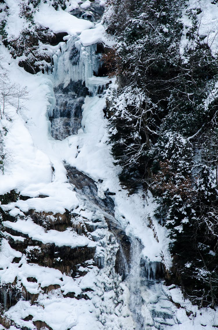 Frozen Stream In Winter