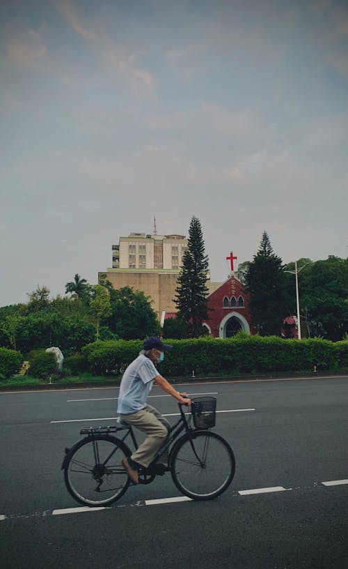 Foto d'estoc gratuïta de anant amb bici, arbres, carrer