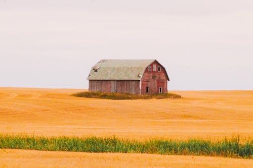 Fotobanka s bezplatnými fotkami na tému červená stodola, cesta na vidieku, dedinský život
