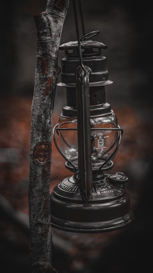 Close-up of an Antique Oil Lamp Hanging on a Branch in a Forest