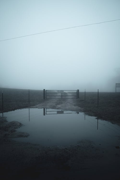 Foggy Landscape with a Gate on a Road 