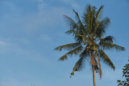 Gratis lagerfoto af eksotisk, himmel, landskab