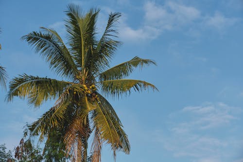 Gratis lagerfoto af eksotisk, himmel, landskab