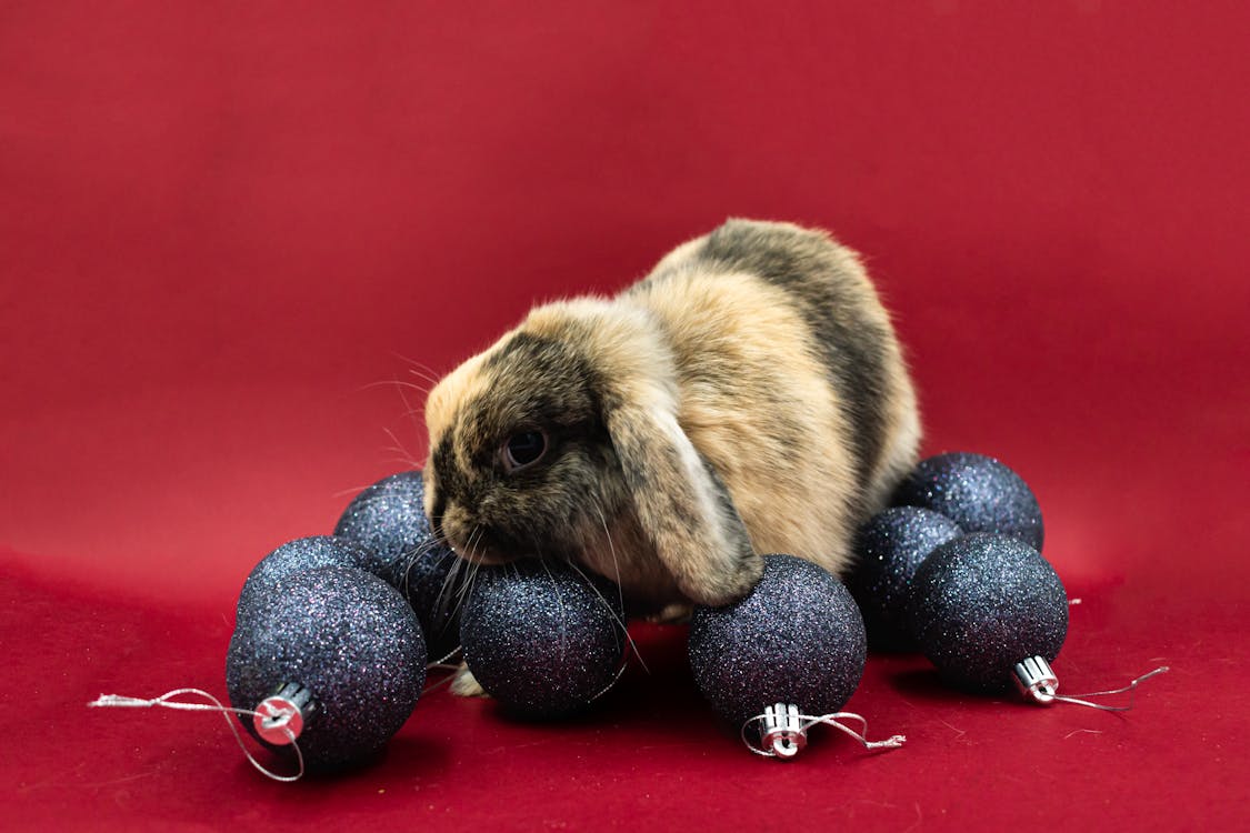 Rabbit with Christmas Balls