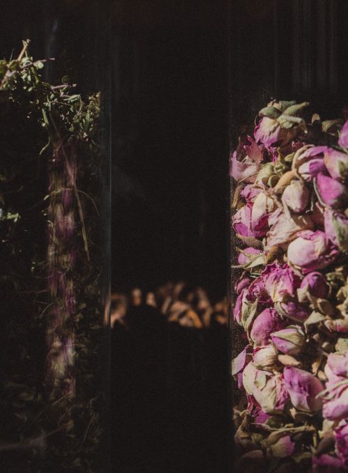 Free Captivating display of dried pink roses in glass containers, perfect for decor. Stock Photo