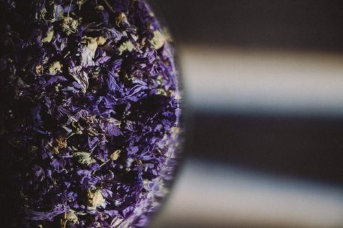 Free A close-up of purple dried flowers in a container with dramatic shadows, showcasing texture. Stock Photo