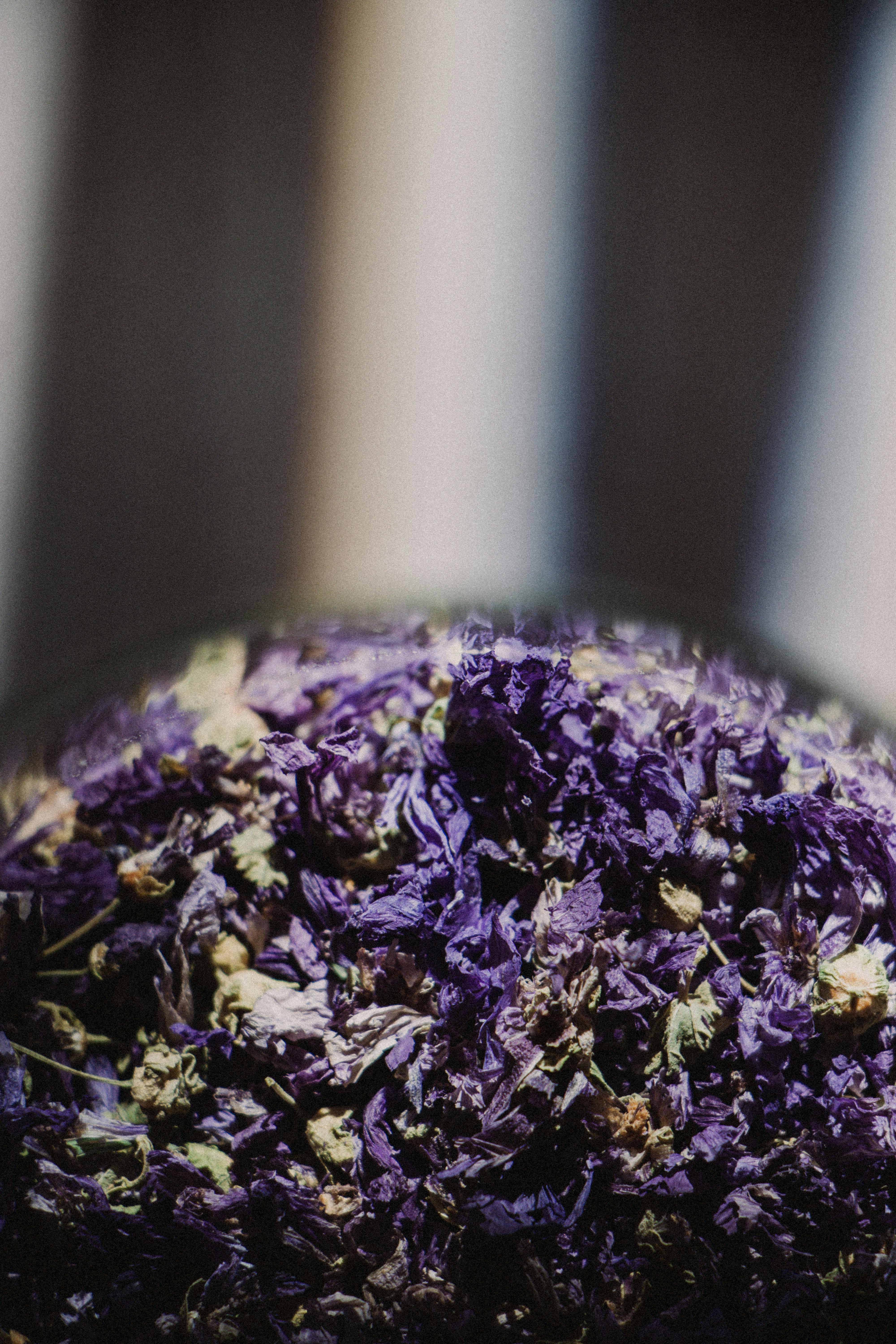 High angle close up of dried flower petals - Stock Image - F032/4354 -  Science Photo Library