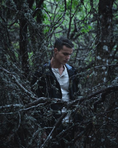 Free A young man stands contemplatively amidst dense forest foliage, surrounded by branches. Stock Photo
