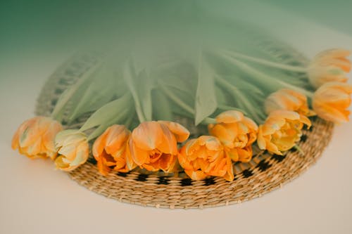 Gratis stockfoto met aantrekkelijk mooi, bloemen, bloemstuk