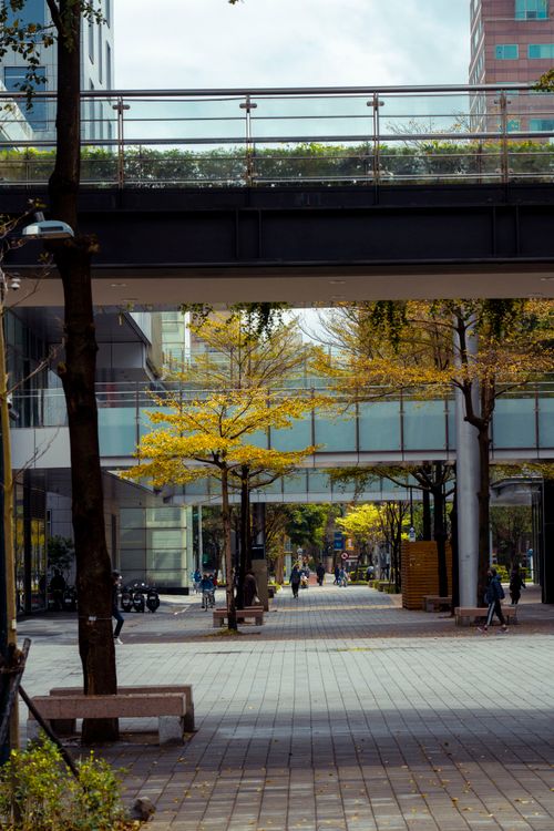 Free Scenic cityscape featuring pedestrian walkways, an overpass, and trees in autumn. Stock Photo