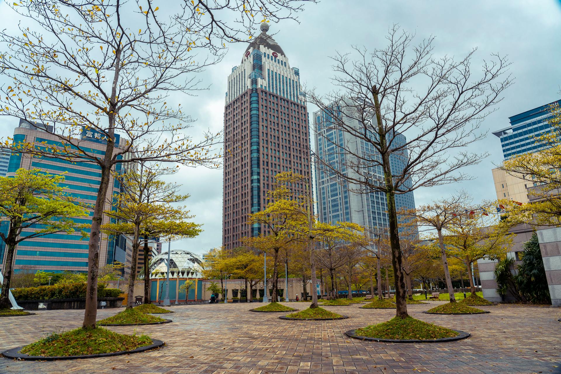 Breathtaking view of Taipei's financial district with modern skyscrapers and trees in a city park.