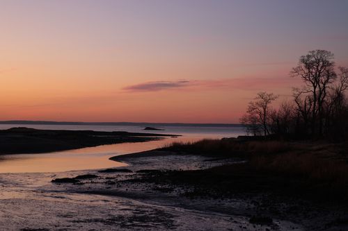 Free A tranquil sunset view at Cove Island Park in Stamford, Connecticut, featuring a calm sea and silhouetted trees. Stock Photo