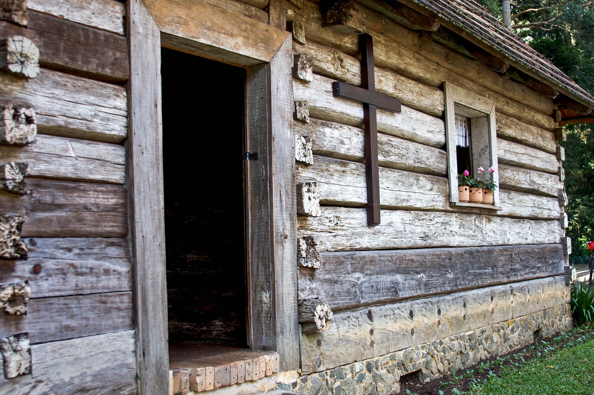 Exterior of a timber cabin surrounded by garden at Ocean Beach Hideaway
