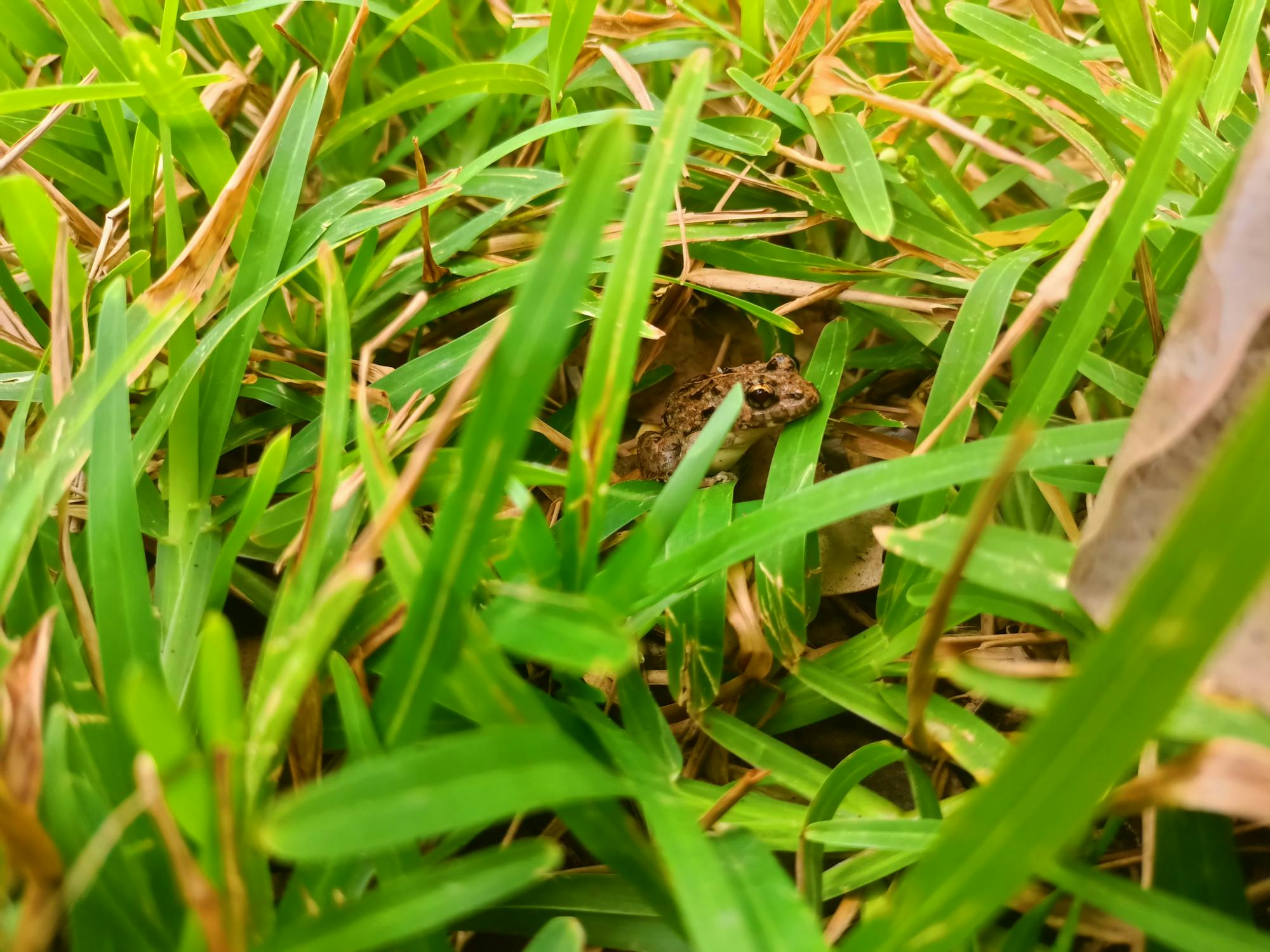 노트북 앞에 놓인 샐러드 도시락과 건강한 점심 식사