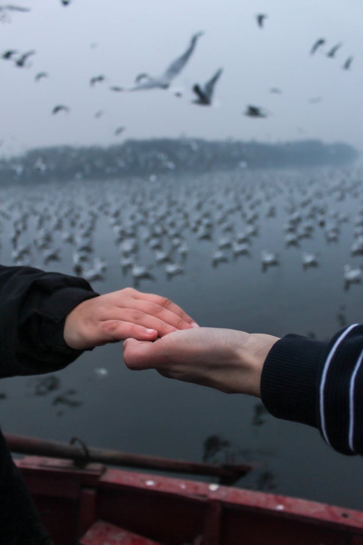 People On Boat Holding Hands