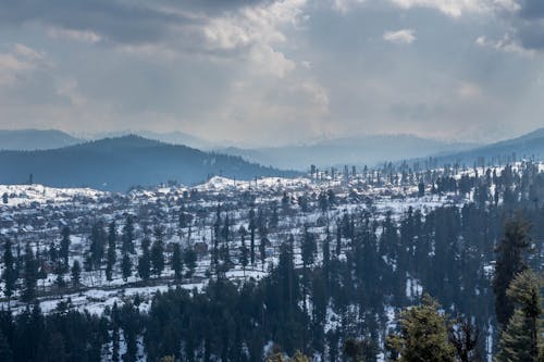 Immagine gratuita di colline, freddo, inverno