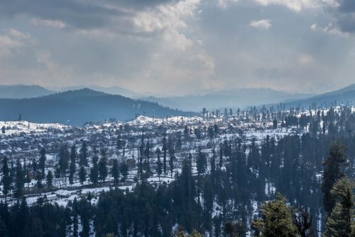 Free Stunning winter view of snow-covered hills and pine trees in Srinagar, Kashmir. Stock Photo
