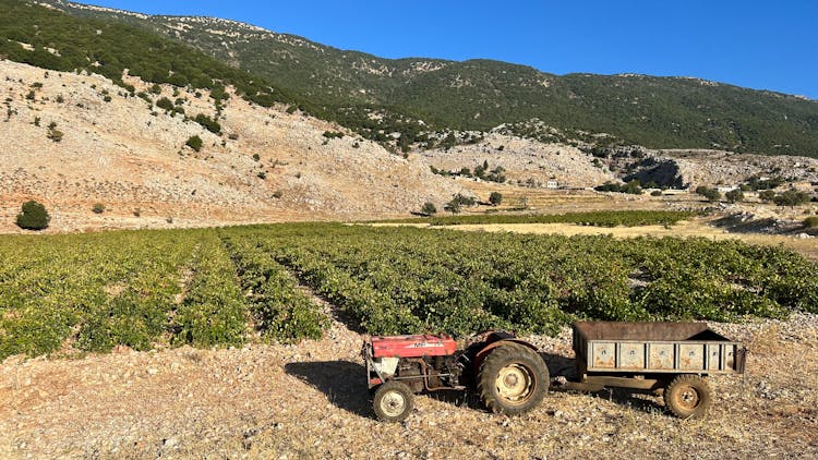 Tractor With Trailer On Rural Field