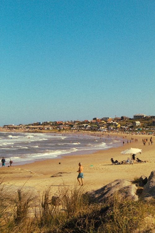 People on Beach in Summer