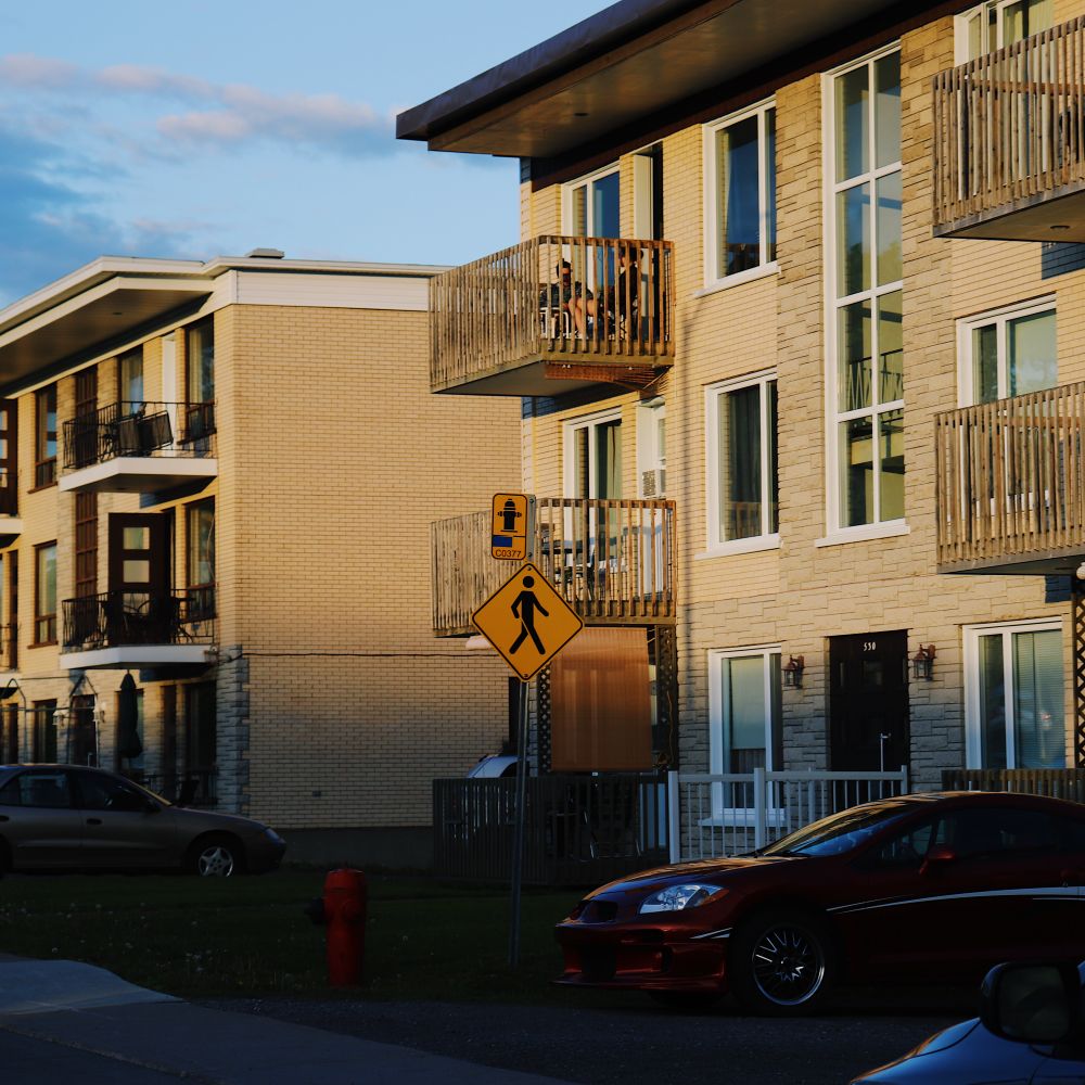 Bay Horse — movers carrying boxes for a flat move