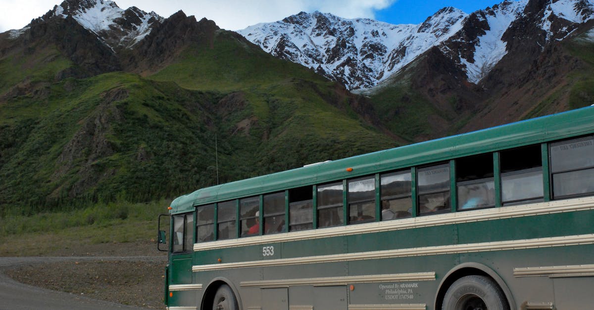 Denali National Park