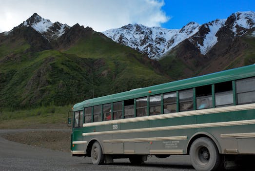 在明亮的蓝天下，乘坐老式巴士穿越郁郁葱葱的山地，探索荒野