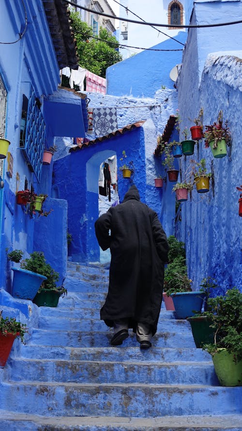 Foto profissional grátis de alameda, andando, azul
