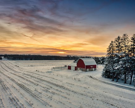 Serene winter farm landscape with snow and a barn in Saint Charles, MN, at sunrise.