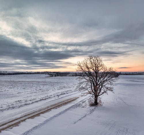 Rural Landscape in Winter at Sunset 