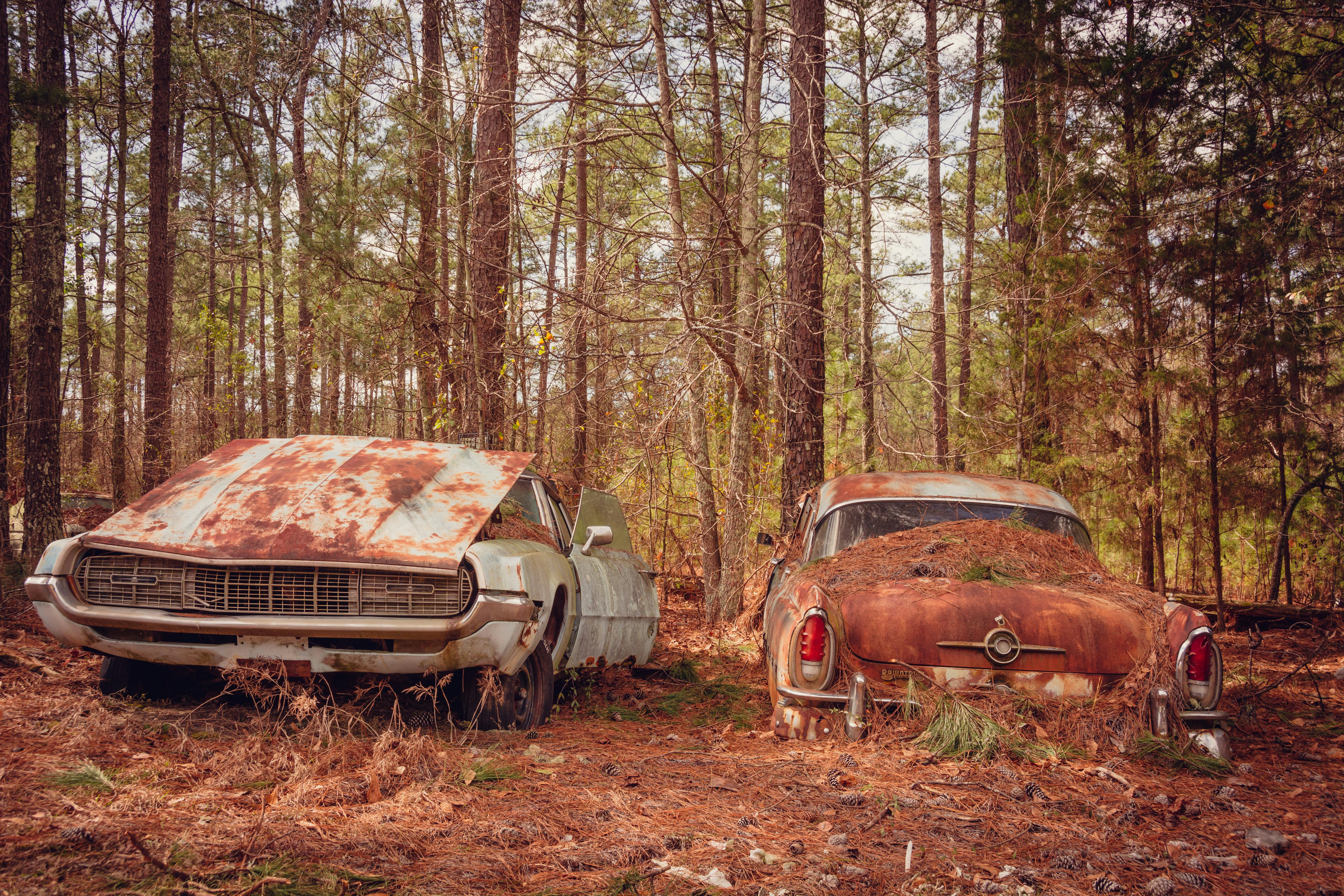 Where’s the Best Place to Buy Used Cars? — Photo by Arian Fernandez on Pexels