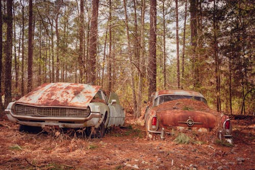 Two Abandoned Vintage Cars in a Forest 