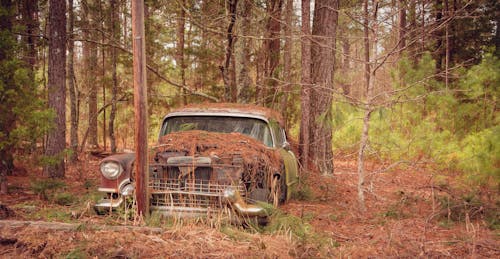 A Rusty Abandoned Car in a Forest