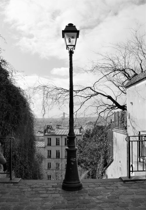 Foto d'estoc gratuïta de blanc i negre, carrer, carreró