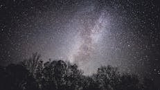 晴朗的夜晚，壮丽的银河在树木轮廓上闪耀