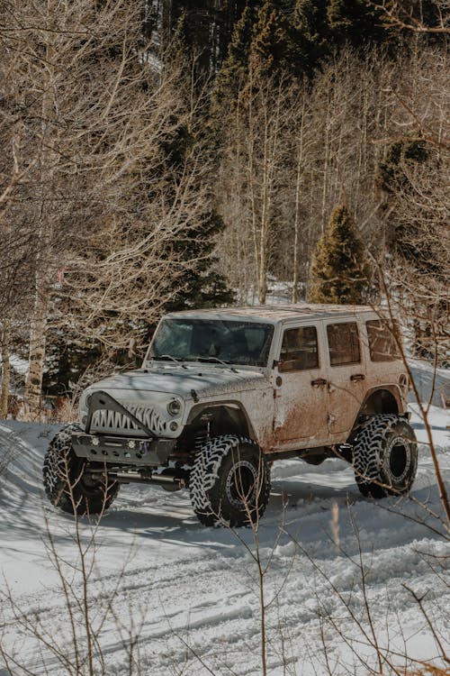 Бесплатное стоковое фото с 4x4, автомобиль, бездорожье