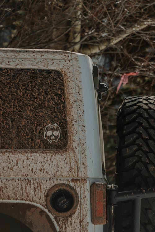 View of a Muddy Back of a Jeep in a Forest 