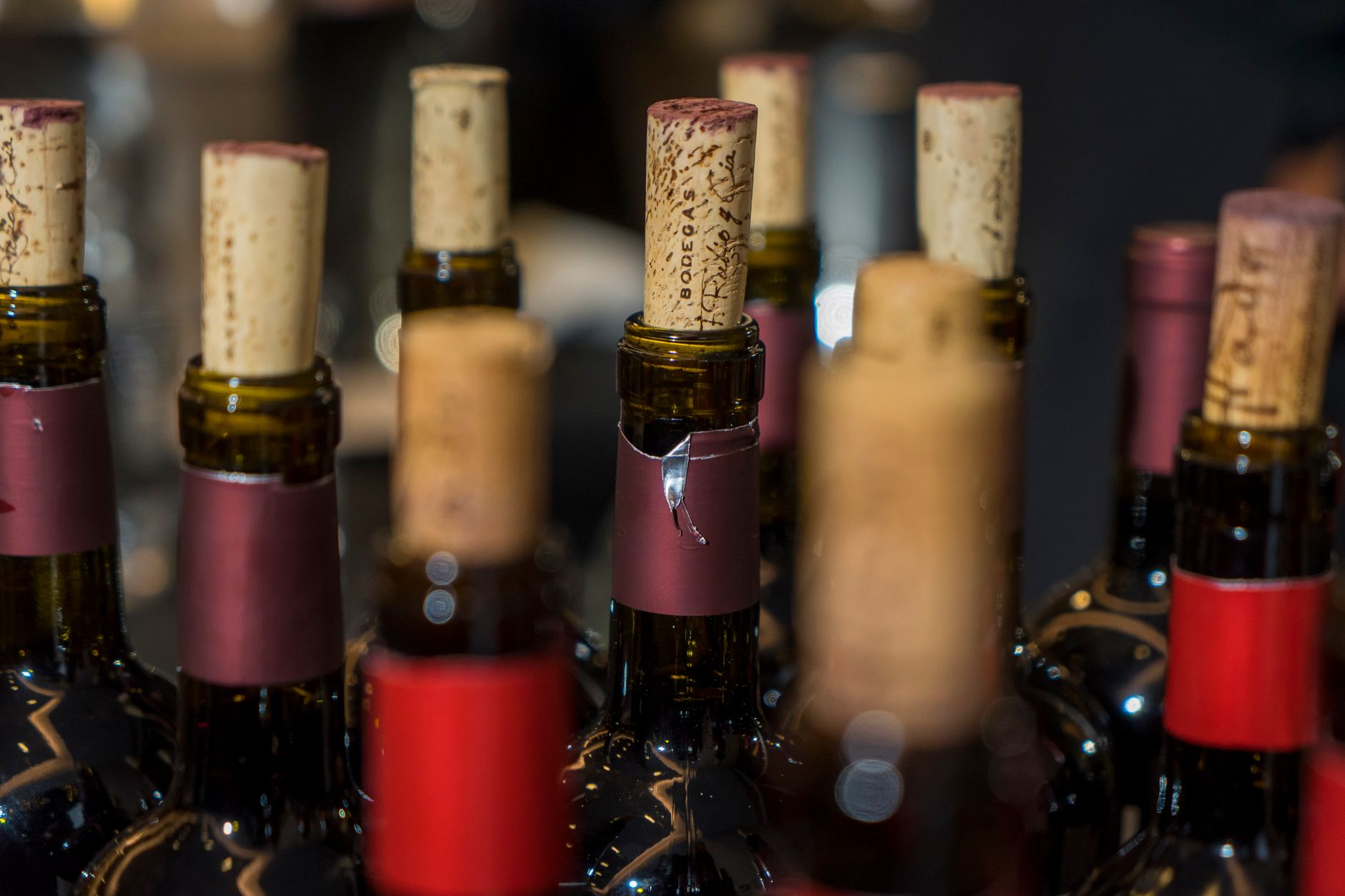Close-up view of elegantly corked wine bottles with selective focus. Perfect for wine and lifestyle themes.