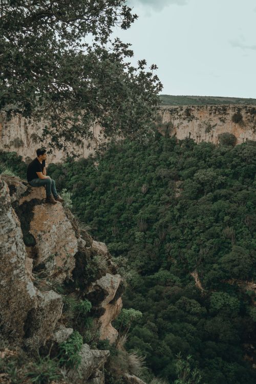 Free A solitary man sits on a cliff's edge, gazing at the lush green valley below, surrounded by nature. Stock Photo