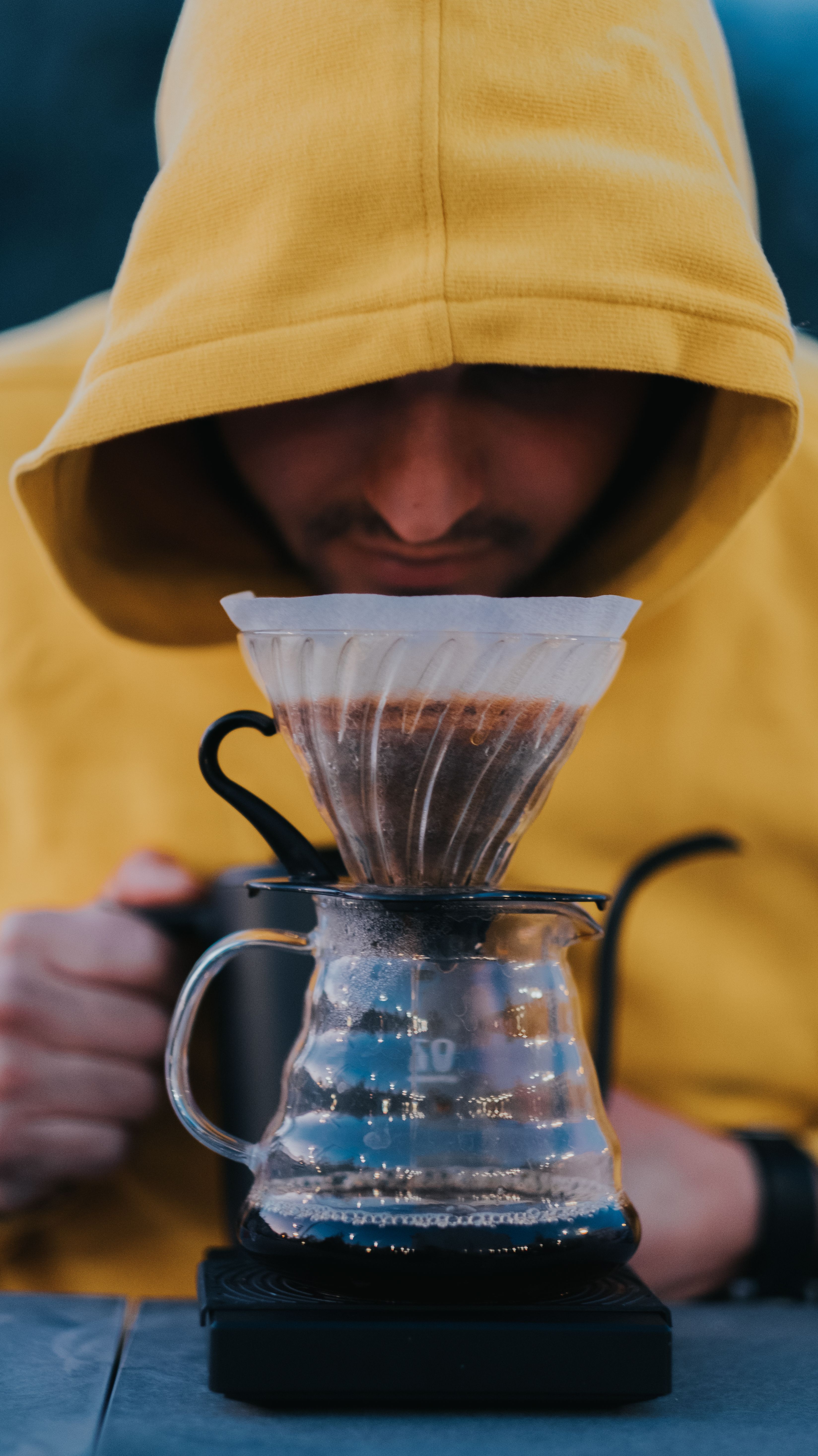 hario v60 dripper glass