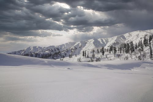 View of a Snowy Field, Trees and Mountains under a Cloudy Sky 