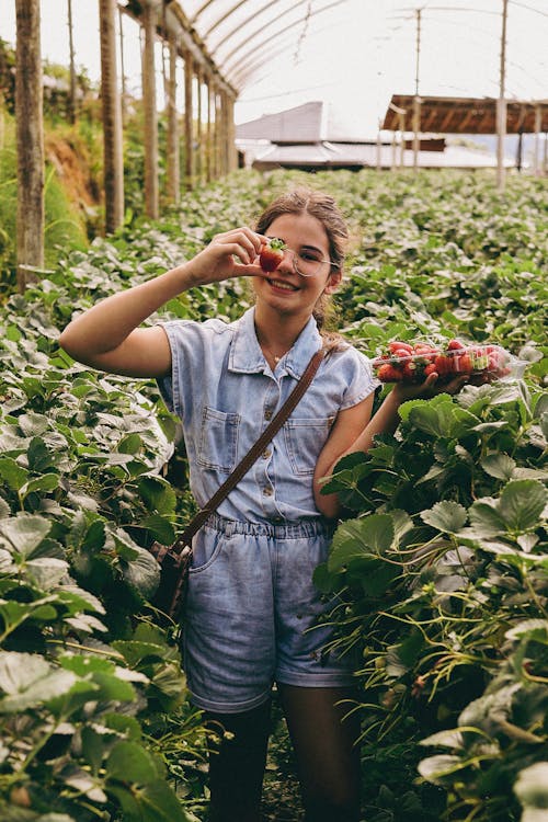 농장, 딸기, 미소 짓는의 무료 스톡 사진