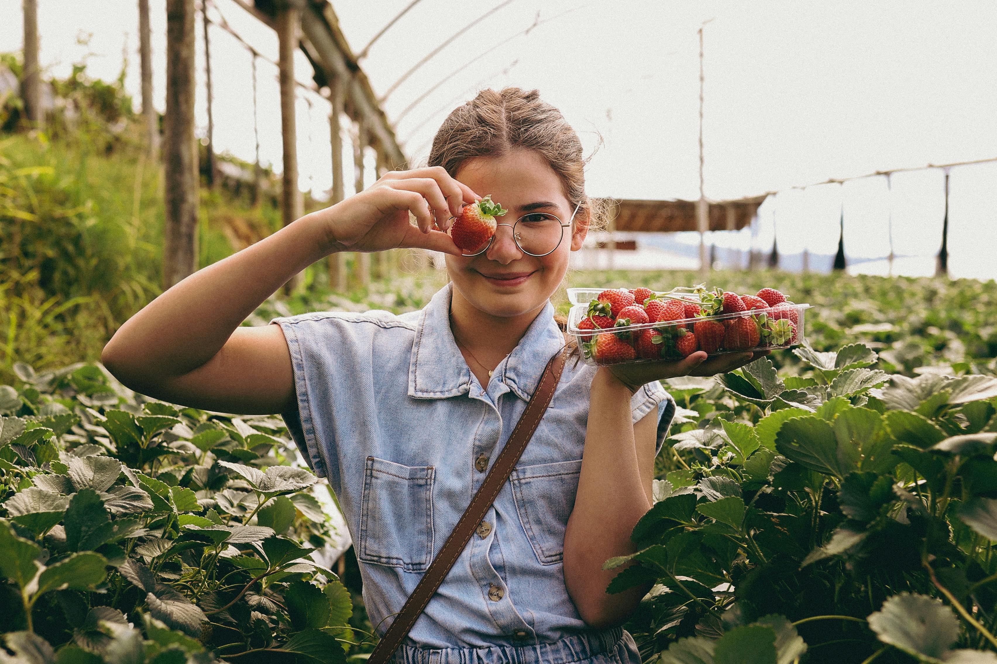 Girl Holding Strawberry with Whipped Stock Photo - Image of hold