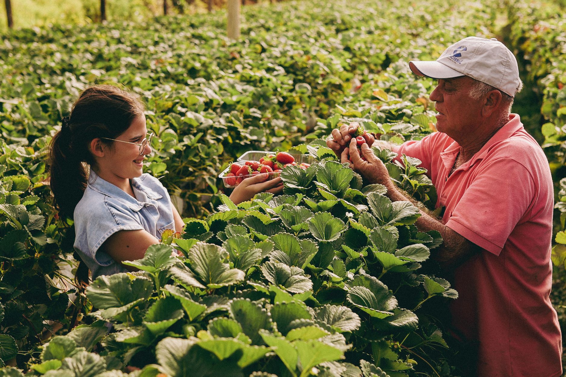 Family harvesting on the farm